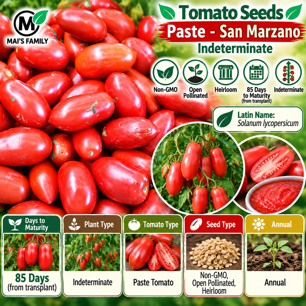 San Marzano Tomato Seeds – Heirloom Non-GMO Indeterminate Paste Tomato