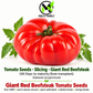 Giant Red Beefsteak Tomato Seeds – Non-GMO Open-Pollinated