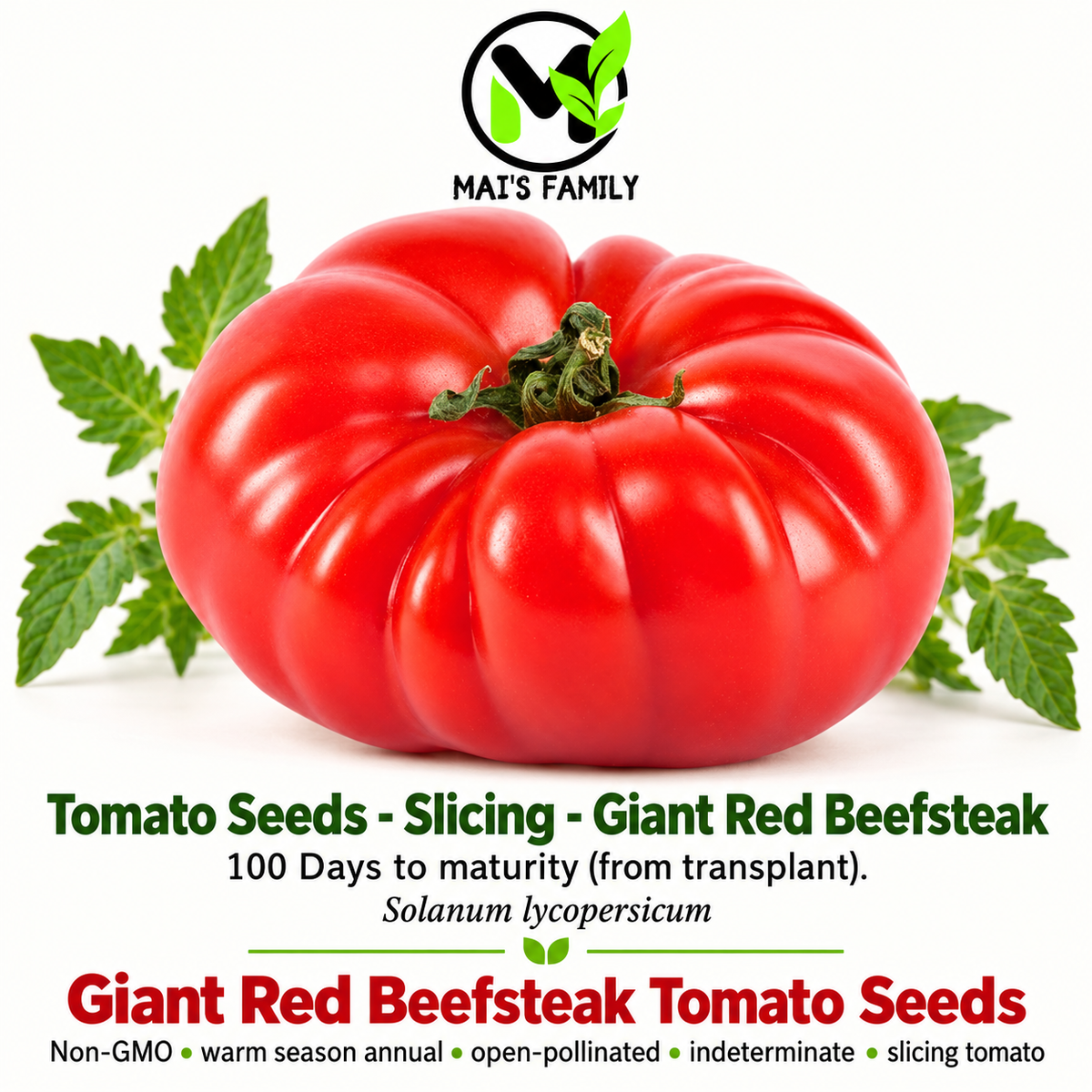 Giant Red Beefsteak Tomato Seeds – Non-GMO Open-Pollinated