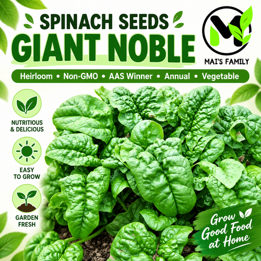 Giant Noble Spinach Seeds – Heirloom Non-GMO Large-Leaf Vegetable