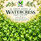 Organic Watercress Seeds – Heirloom Perennial Herb Cải Xoong