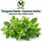 Common Italian Oregano Seeds – Heirloom Non-GMO Perennial Herb
