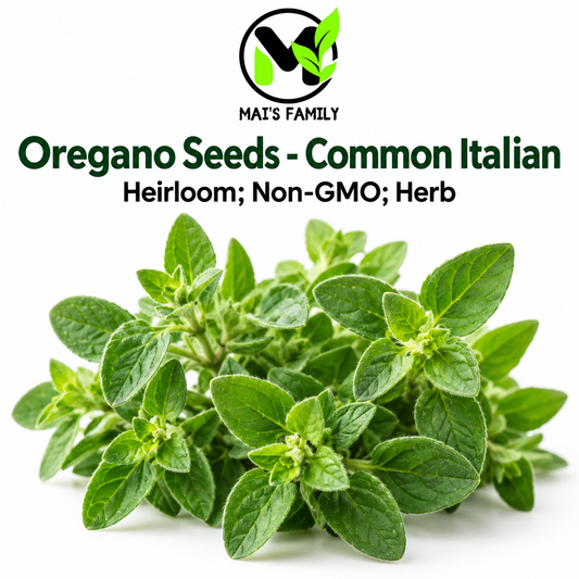 Common Italian Oregano Seeds – Heirloom Non-GMO Perennial Herb