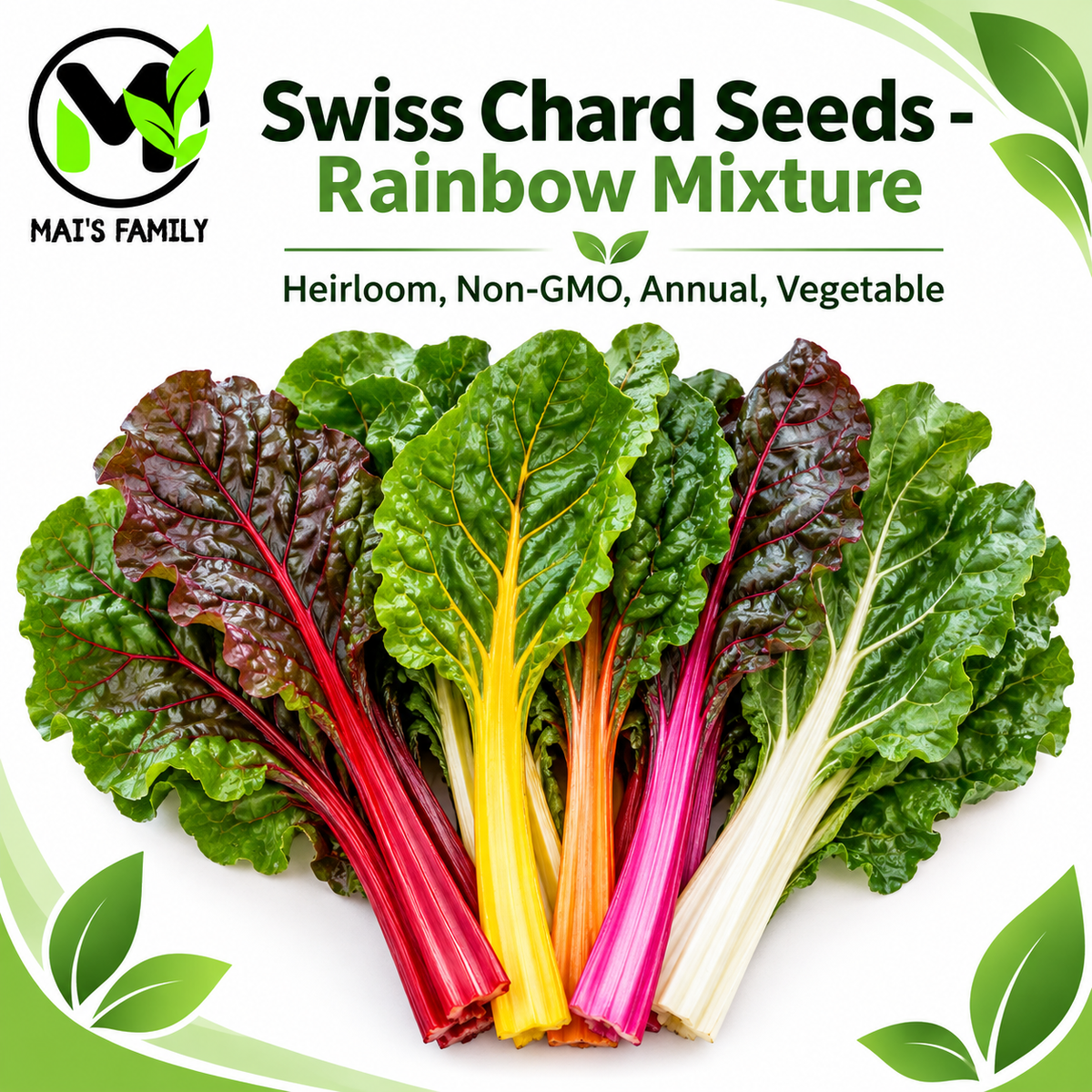 Rainbow Mixture Swiss Chard Seeds – Heirloom, Non-GMO