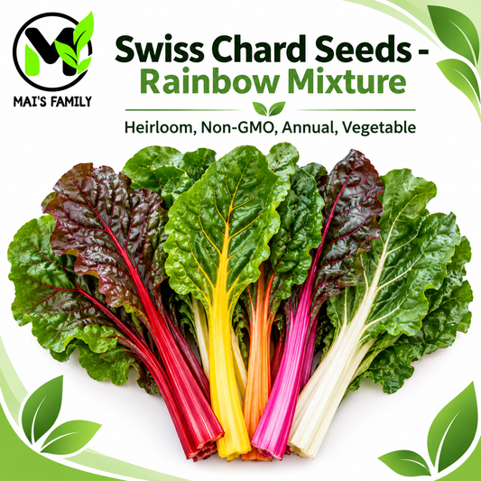 Rainbow Mixture Swiss Chard Seeds – Heirloom, Non-GMO