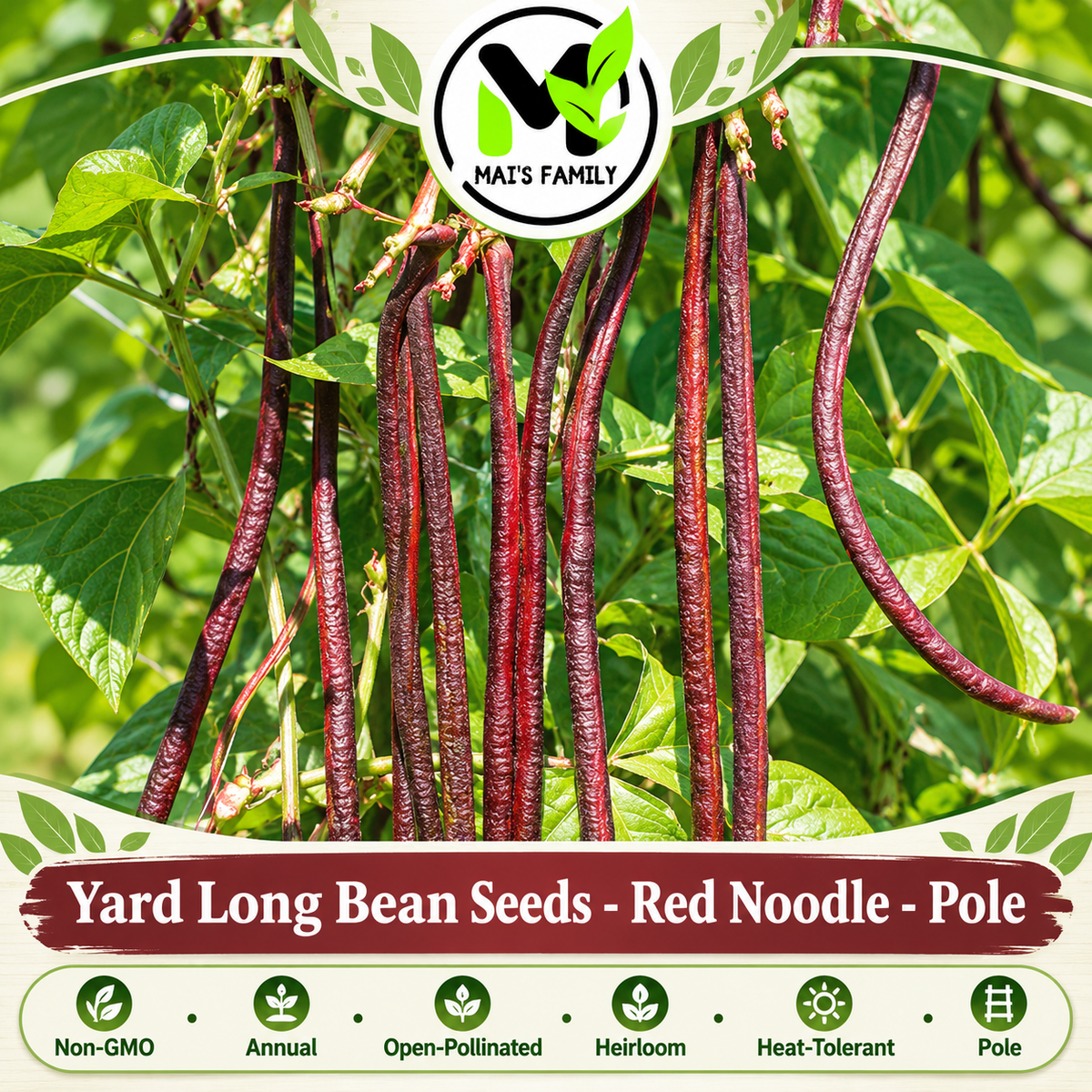 Red Noodle Yard Long Bean Seeds – Heirloom Non-GMO Pole Bean