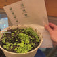 Pennywort Seeds Big Leaf - Gotu Kola Rau Má Lá Bự | Heirloom Non-GMO Perennial Herb