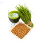 Organic Hard Red Wheatgrass Seeds – Non-GMO Wheat Seeds for Cat Grass, Pet Grass, Sprouting, Microgreens & Juicing