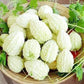 White Apple Bitter Melon Seeds (Momordica charantia) F1 HYBRID