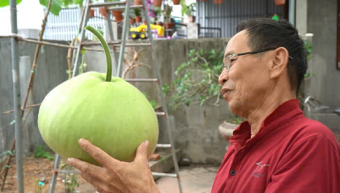 Giant Round Gourd Seeds | Calabash Seeds- Bầu Tròn | Non-GMO, High Yield, Organic