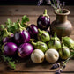 Round Eggplant MIX 3 COLORS SEEDS, cà pháo trộn 3 màu Non-GMO