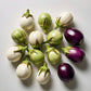 Round Eggplant MIX 3 COLORS SEEDS, cà pháo trộn 3 màu Non-GMO