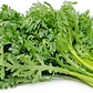 Chrysanthemum Seeds. (Shungiku, ,Tong Ho ,Tan Ngo, Cai Cuc, Tần Ô, 虎耳大葉茼蒿)