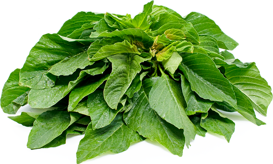 Green Amaranth Seeds,Spinach Seeds, (White Leaf) Rau Dền Xanh NON-GMO | Heirloom