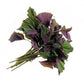Shiso Seeds (Tía Tô) - Heirloom - Asian Culinary Herb - Non GMO