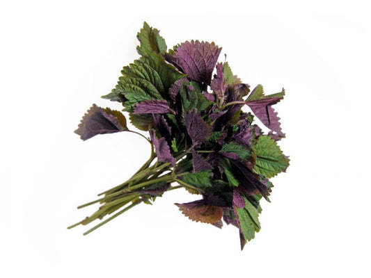 紫蘇種子 (Tía Tô) - 傳家寶 - 亞洲烹飪香草 - 非基因