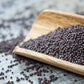 Yu Choy - Jung Green Seeds, Cải Ngọt, Heirloom Non-GMO