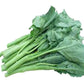 Broccoli Seeds - Chinese Broccoli - Kailaan (Cải Rổ, Gai Lan)