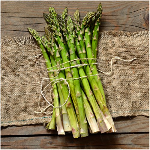 Mary Washington Asparagus Seeds | NON-GMO | Heirloom