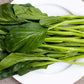 Yu Choy - Jung Green Seeds, Cải Ngọt, Heirloom Non-GMO