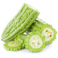 Vietnam Bitter Gourd, Khổ Qua Mỡ Trái Dài, Bitter Melon Seeds F1 Non-GMO