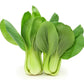 Green Stem Shanghai Bok Choy Seeds | Pak Choi Cabbage BIG SALE