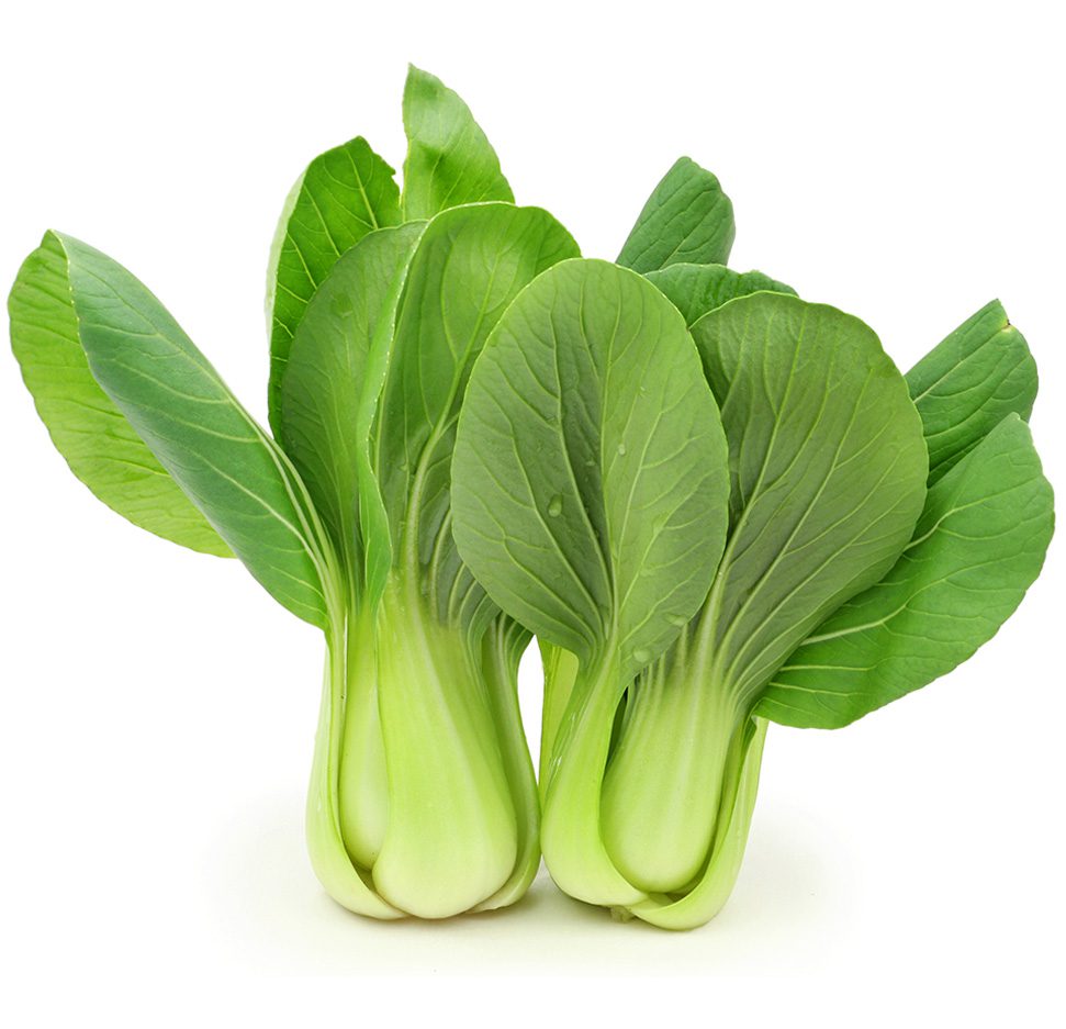 Green Stem Shanghai Bok Choy Seeds | Pak Choi Cabbage BIG SALE