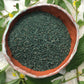 Molokhia - Egyptian Spinach Seeds (Rau Day) HeirloomNon-GMO