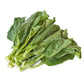 Broccoli Seeds - Chinese Broccoli - Kailaan (Cải Rổ, Gai Lan)