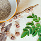 Organic Moringa Oleifera Drumstick Seeds Non-GMO (Chùm Ngây)