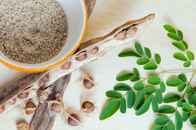 organic moringa seeds for planting Organic Moringa Oleifera Drumstick Seeds (Chùm Ngây) | Non-GMO