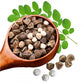 Organic Moringa Oleifera Drumstick Seeds Non-GMO (Chùm Ngây)