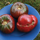 Cherokee Purple tomato seeds, heirloom, NON-GMO