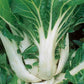 White Stem Baby Pak Choi Seeds, Nail Bai Cai, Dwarf Bok Choy, Heirloom Non-GMO US