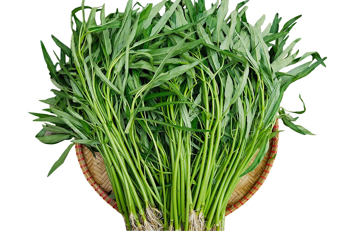 JQBay Water Spinach 'Kong Xin Cai' Seeds – 120 Seeds, Non-GMO Asian Leafy Green