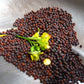 Mustard Seeds - Small Gai Choi - Heirloom. Non-GMO (Cải Bẹ Xanh)
