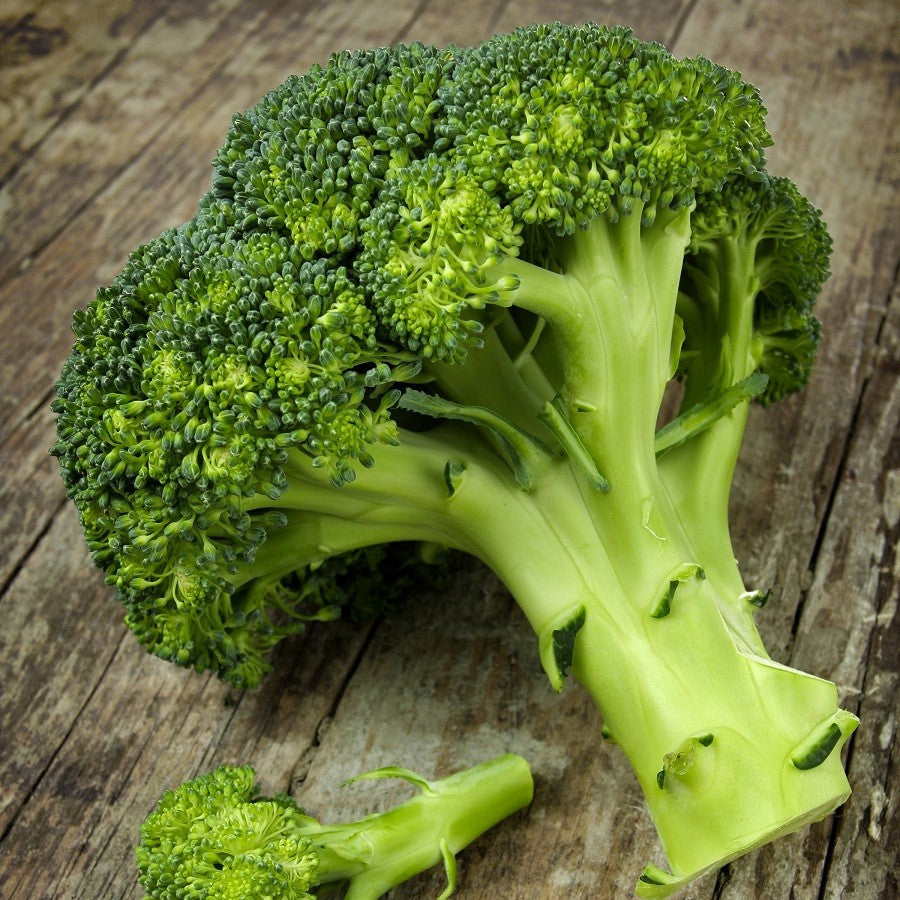 Broccoli Gardening Seeds | Non-GMO, Heirloom, Organic - Packet to Bulk Broccoli Gardening Seeds | Non-GMO, Heirloom, Organic - Packet to Bulk