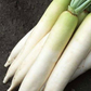Daikon Radish -Japanese White Radish Seeds