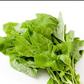 Green Amaranth Seed (Green Leaf), Rau Dền Xanh NON-GMO | Heirloom