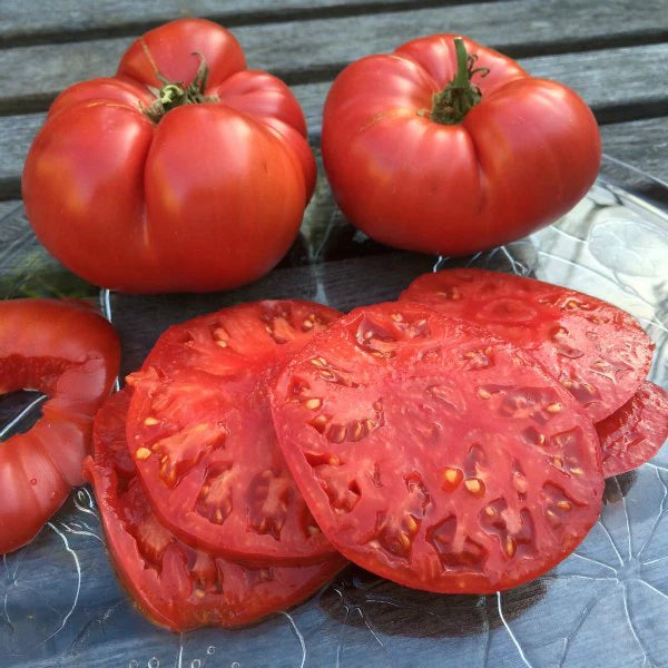 牛排番茄種子|非基因改造 |傳家寶