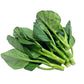 Broccoli Seeds - Chinese Broccoli - Kailaan (Cải Rổ, Gai Lan)