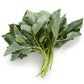 Molokhia - Egyptian Spinach Seeds (Rau Day) HeirloomNon-GMO