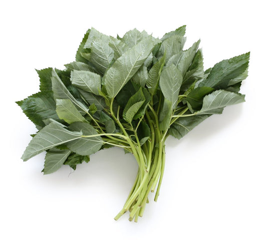 Molokhia - Egyptian Spinach Seeds (Rau Day) HeirloomNon-GMO