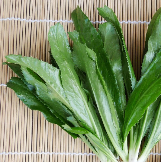越南 Culantro 種子（傳家寶，非基因改造）- Ngò gai