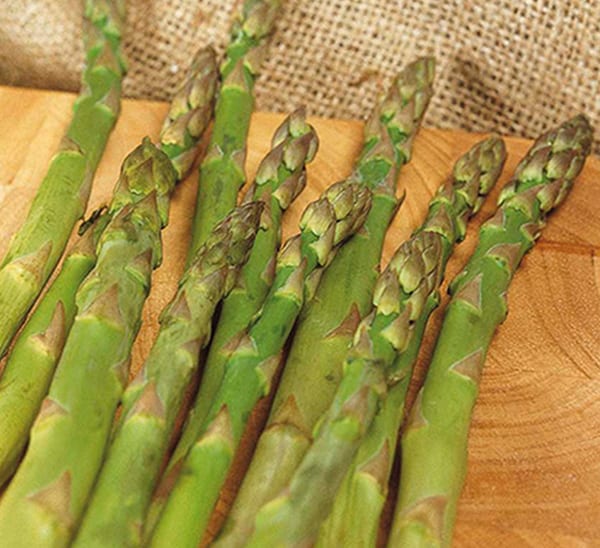 Mary Washington Asparagus Seeds | NON-GMO | Heirloom