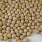 Organic Yellow Pea Sprouting Seeds - NON-GMO, Heirloom ,Microgreens
